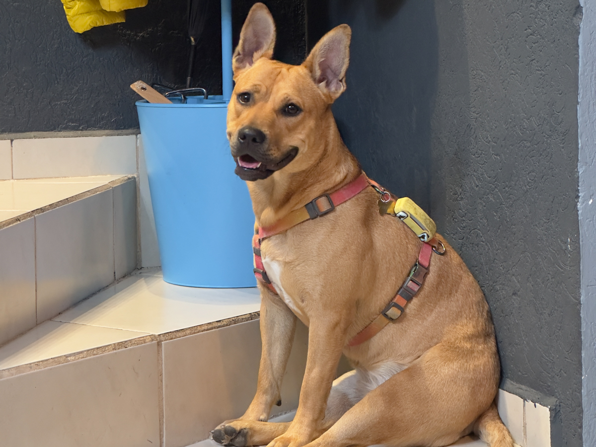 Portrait of Chalupa enjoying life with her family