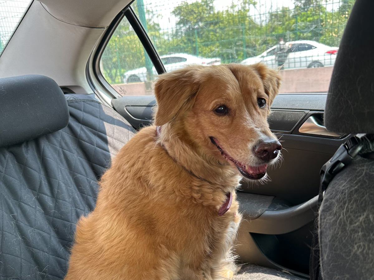 Garnacha during one of her favorite road trips
