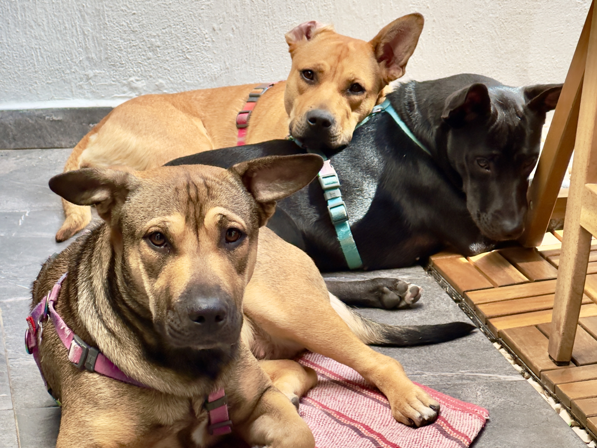 Chalupa, Horchata and Tlacoya during a family gathering