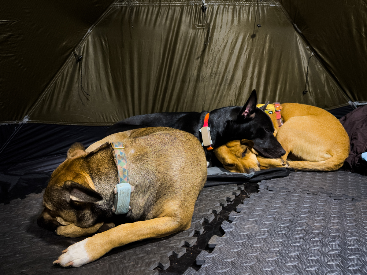 The sisters enjoying a camping trip near where they were rescued